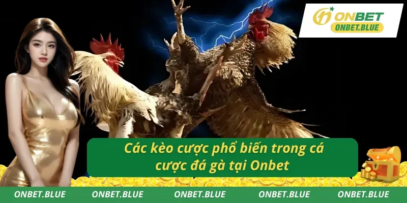 Những kèo cược phổ biến nhất trong đá gà Onbet 